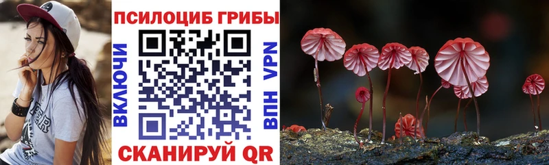 Купить закладки  Колпашево  Галлюциногенные грибы Psilocybine cubensis 