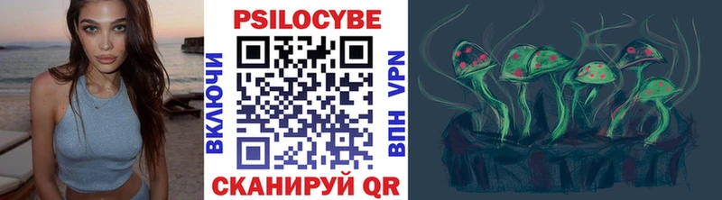 Псилоцибиновые грибы Cubensis Колпашево